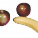 fruits of paradise fruits of paradise