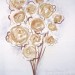 yummy BLOSSOMS V yummy BLOSSOMS V